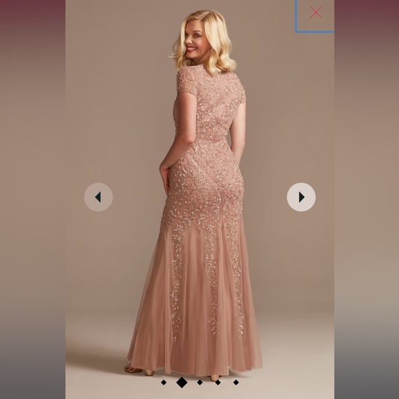 David’s Bridal Dress - Picture 4 of 11